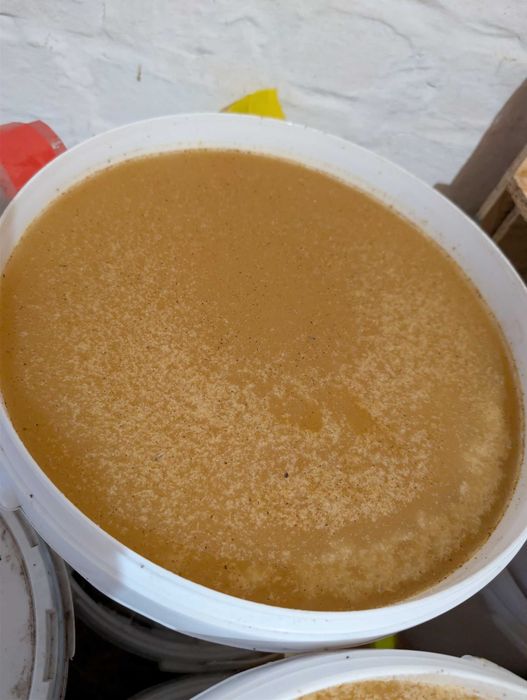 Мед липовий з власної пасіки