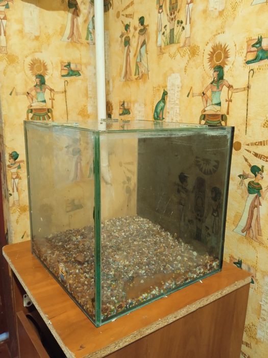 Продам недорого акваріум