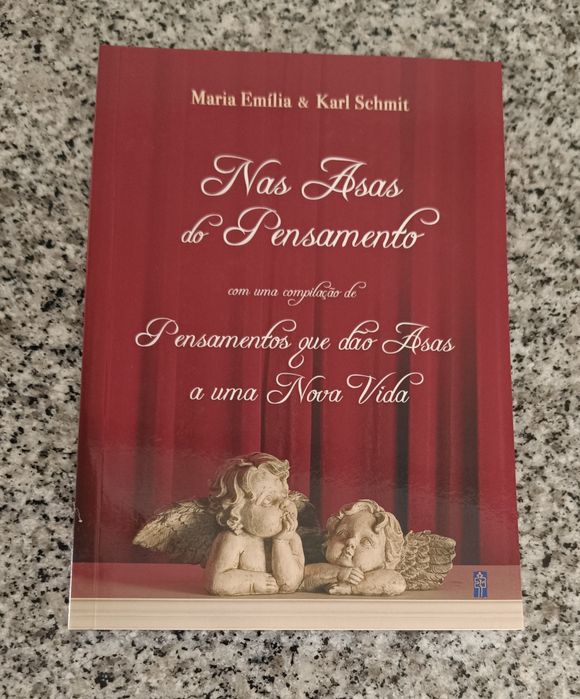 Livro Nas Asas do Pensamento de Karl Schmit e Maria Emília