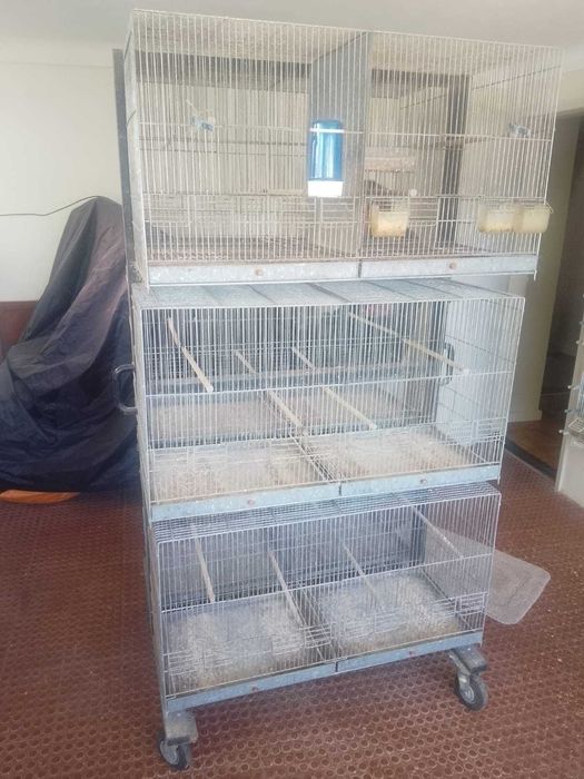 Armaçao em ferro para passaros