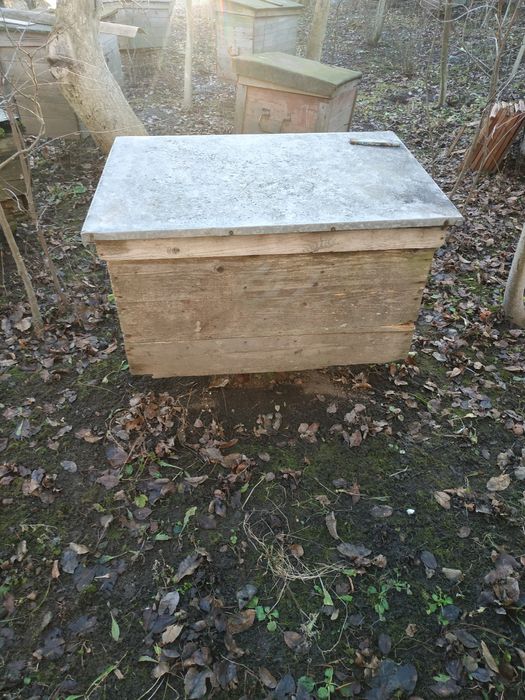 Продаються вулики