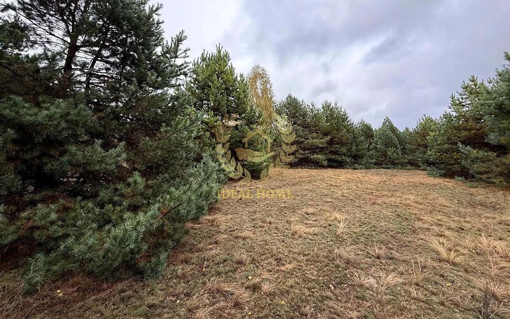 Продаж ділянки біля лісу в Катюжанкі