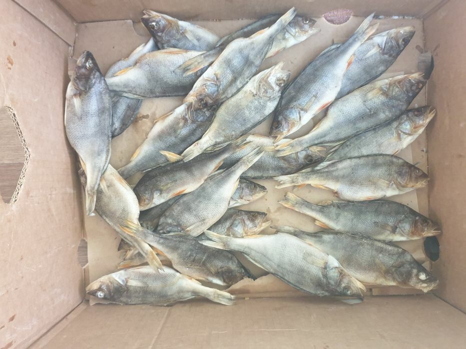 Тарань з ікрою. Плотва ікряна. Лящь таранька судак Окунь ікра щуки