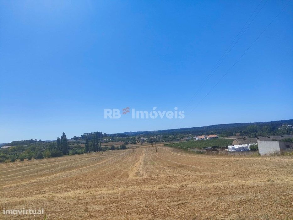 3 Terrenos Rústicos com área total de 18.880m2 - Cabeças, Tomar — Tomar (São João Baptista) E Santa Maria Dos Olivais, Santarém