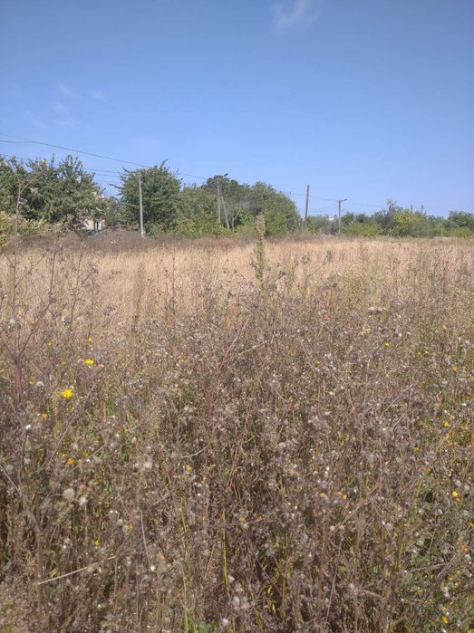 (3) Терміново! Продам земельну ділянку в Щітках 0756