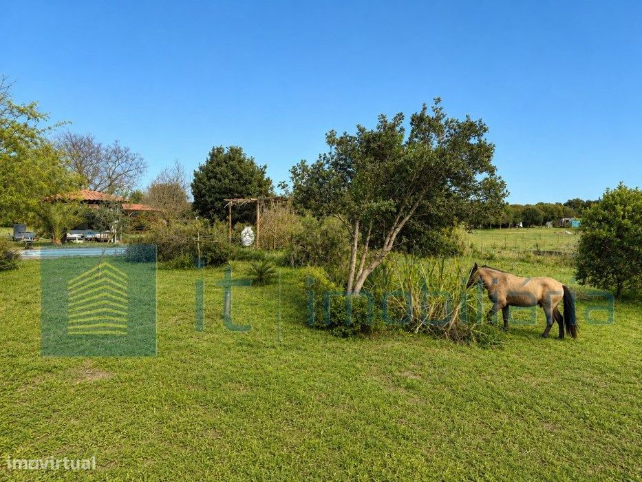 Monte alentejano / Quinta / Herdade