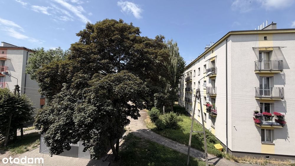 Sosnowiec Pogoń ul. Dietla, 2 pokoje, niski blok