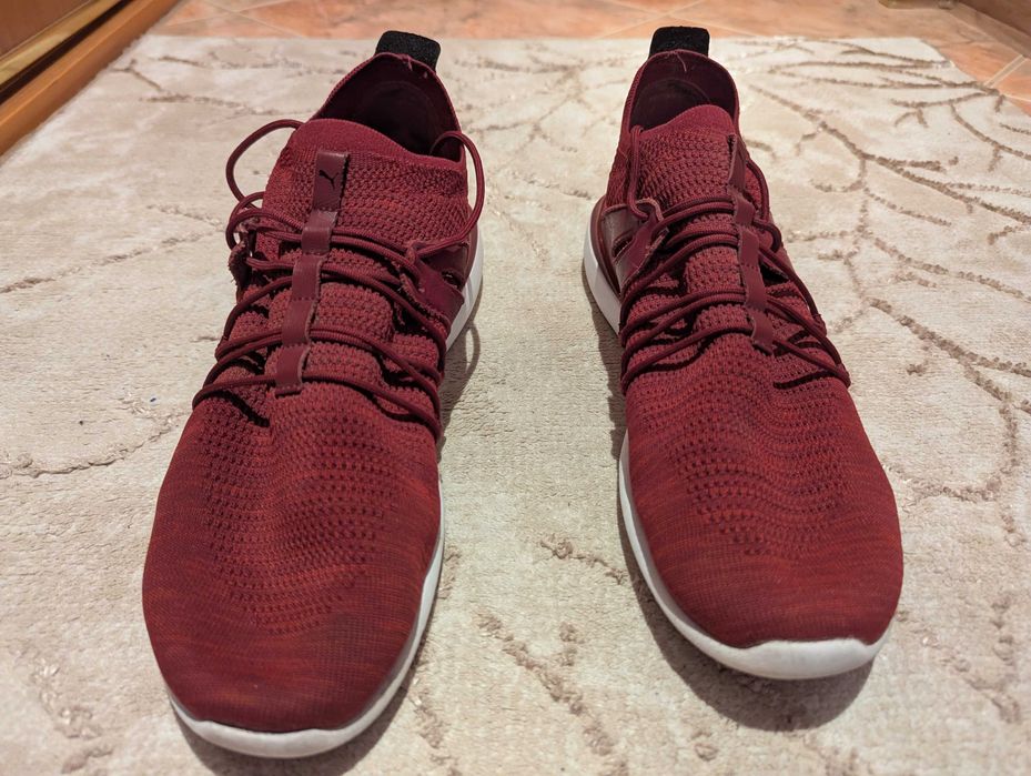 Puma Ferrari Evo Cat