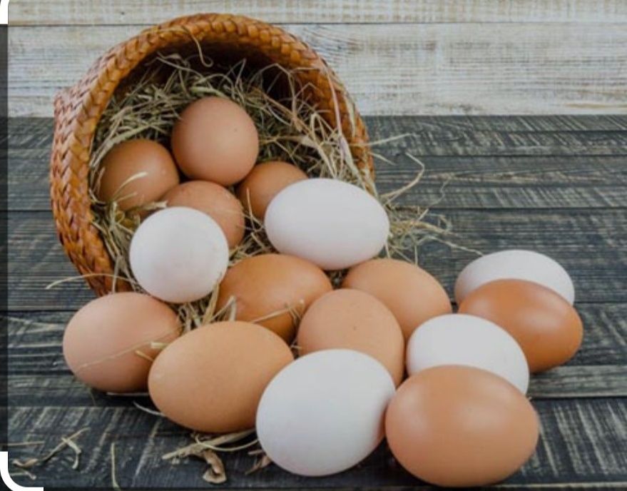 Продам яйца куриные