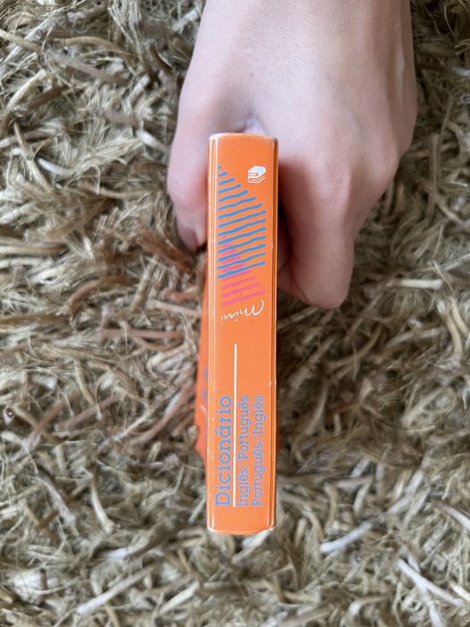 Dicionário mini inglês