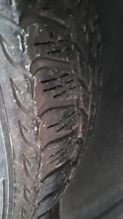 Зимові Шини Debica Frigo HP2 215/55 R17 98V FP(Франція) 4шт.