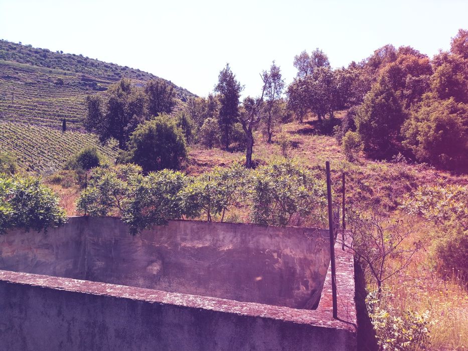 Quintinha com 3,2Ha - permuto