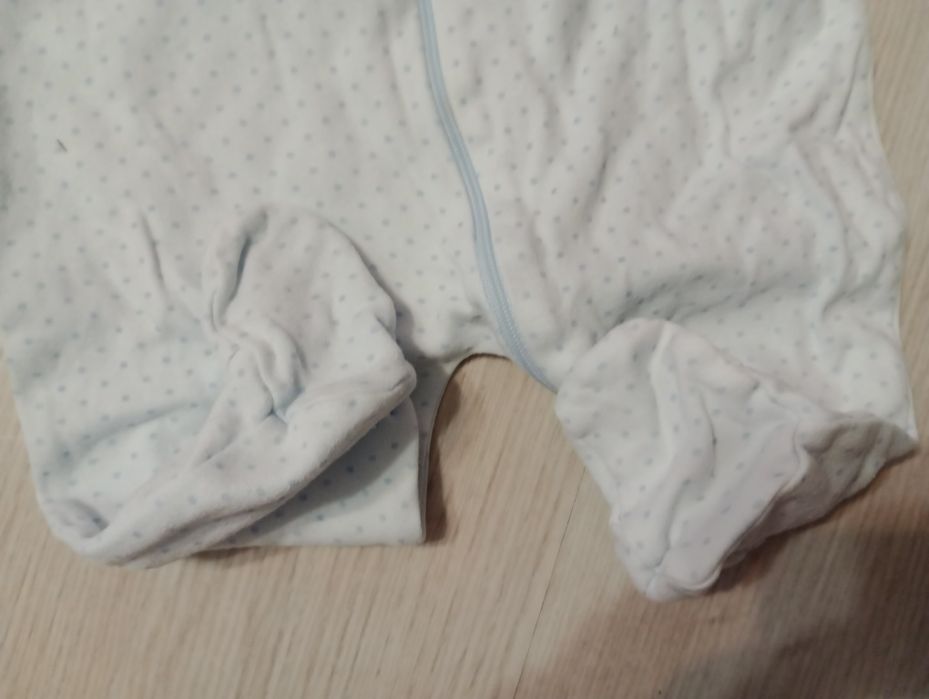 Pajacyk jasnoniebieski