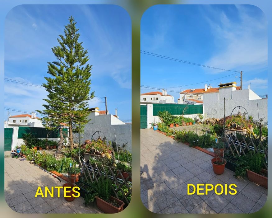 Limpeza de Terrenos/Jardins/Piscinas/Sistemas de Rega
