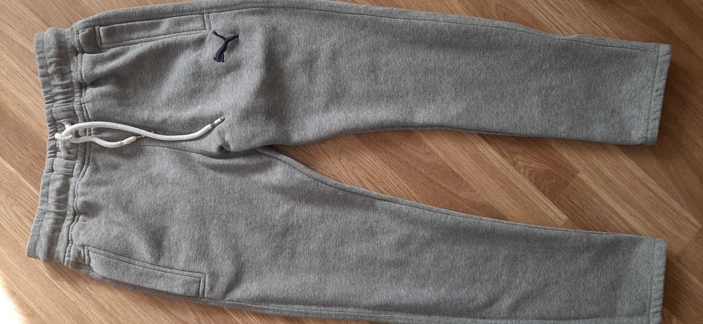 Спортивні штани PUMA