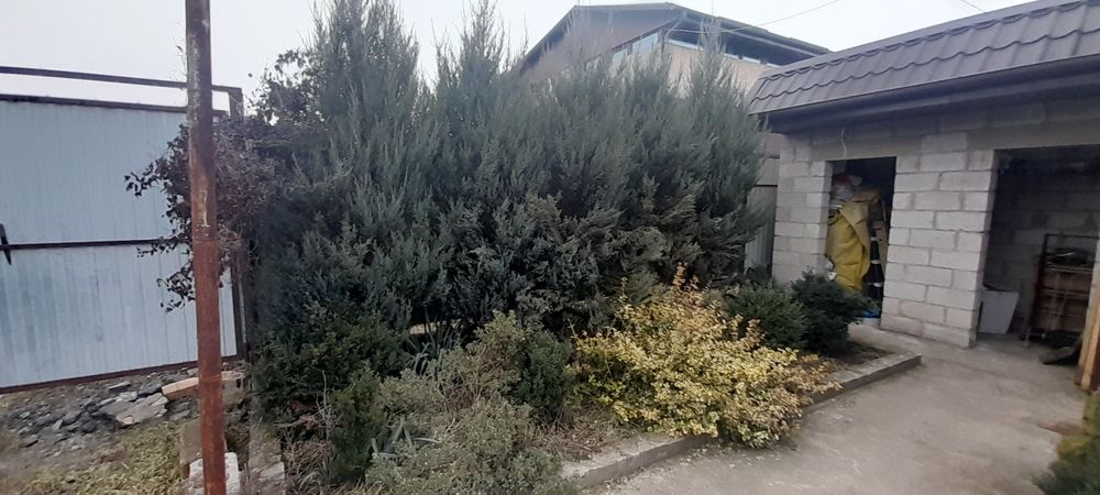 Продам дачу 12 сот  Шевченковский р,н