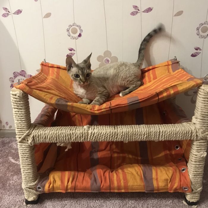 Гамак для животных, когтеточка