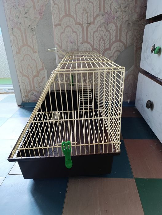 Клітка для гризунів