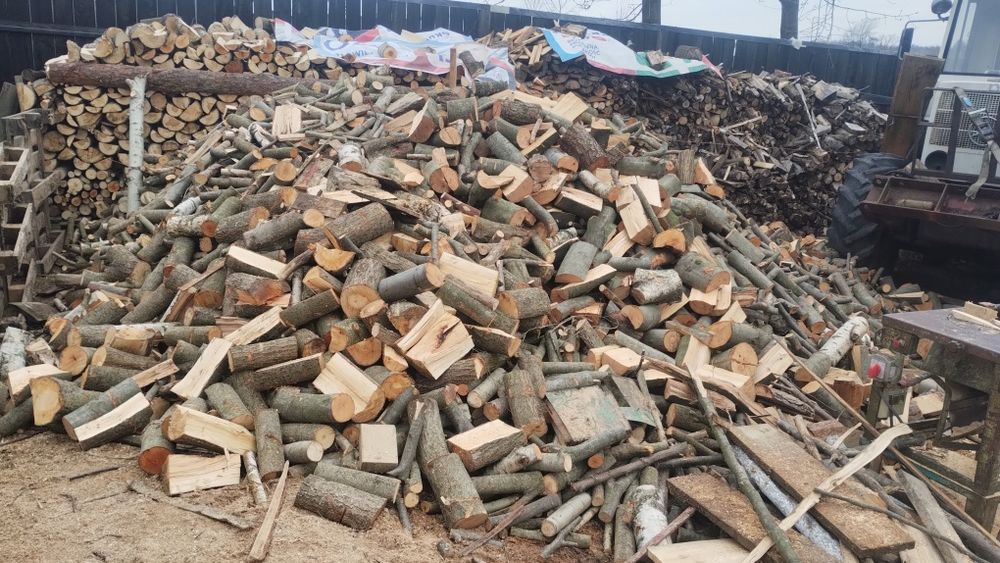 Drzewo mieszane łupane