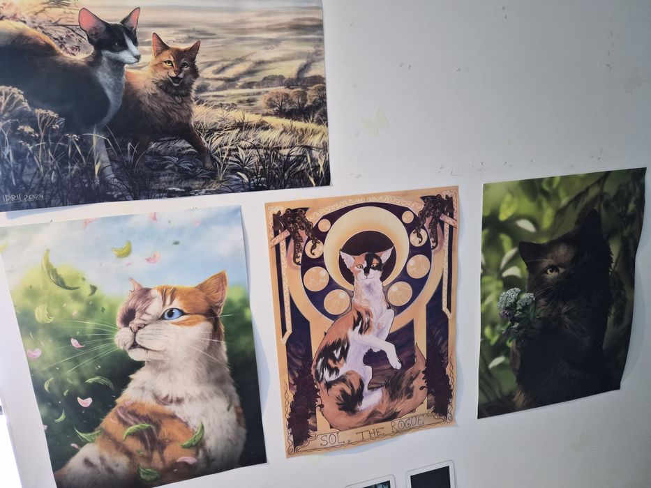 Sprzedam dodatki wojownicy Erin hunter