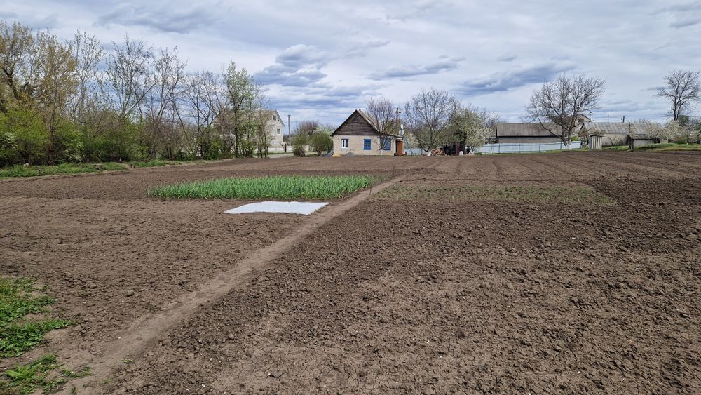 Продаеться земельна ділянка 15соток Новоархангельськ