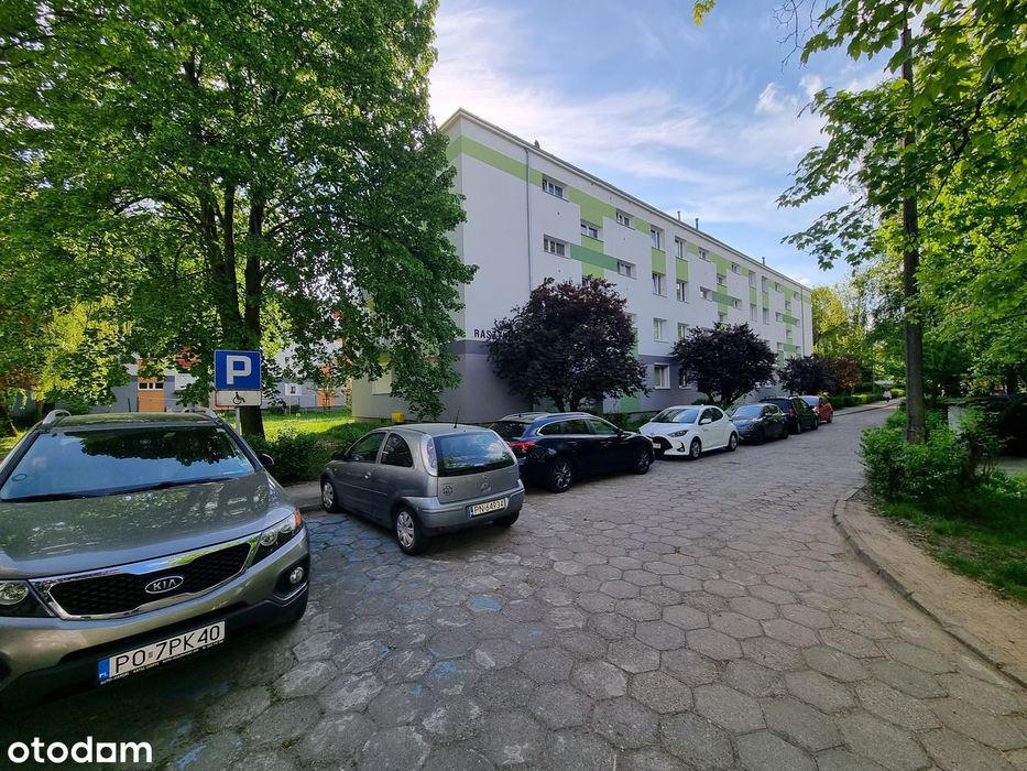 2 wygodne pokoje w super lokalizacji na parterze budynku!
