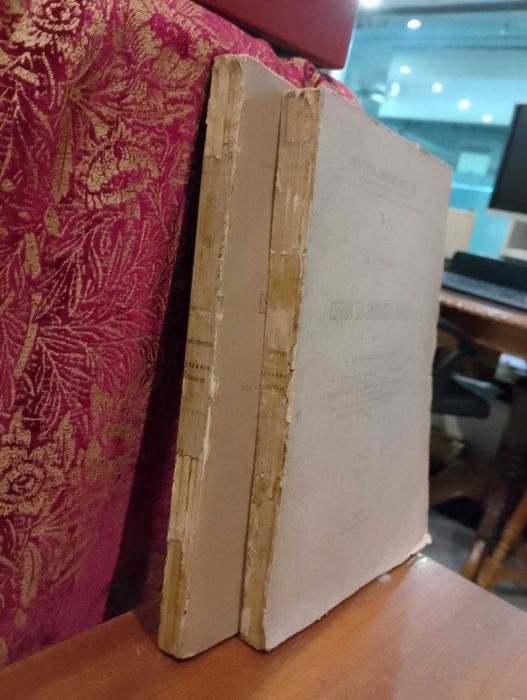 Manual Estudo do Sãoskrito Clássico 1881/1891 G. de Vasconcellos Abreu