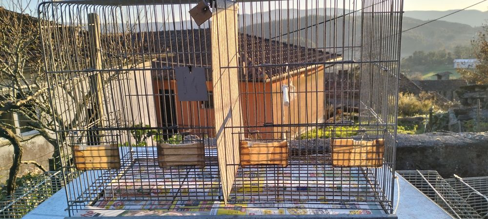 Gaiolas de criação / viveiros