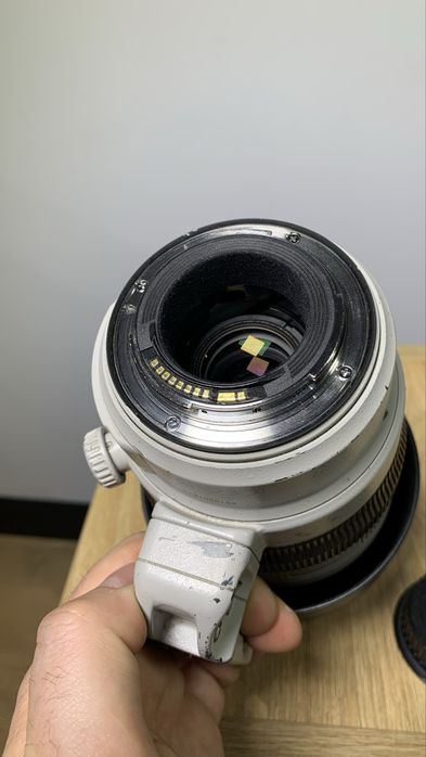 Canon EF 100-400