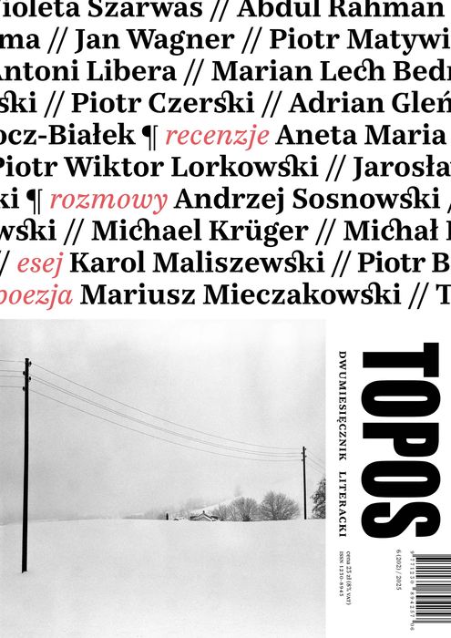Topos 6/2025. Instytut Książki