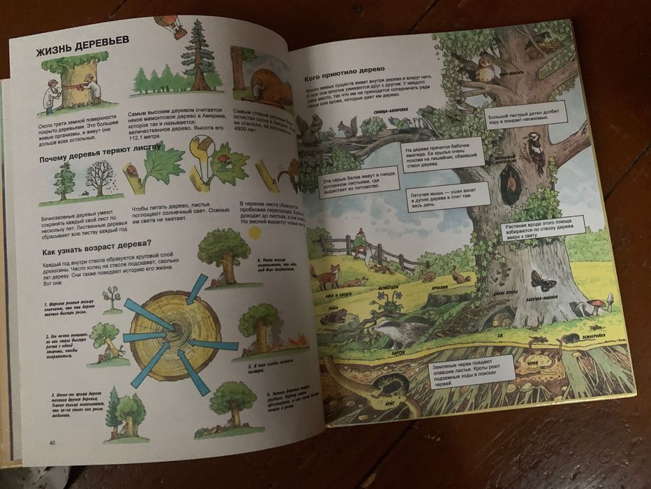 Энциклопедия книжка