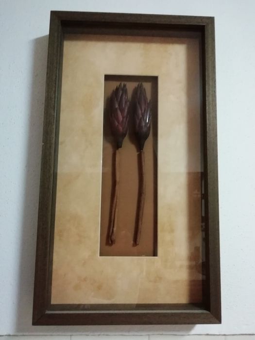 Frames in good condition64861834978818123