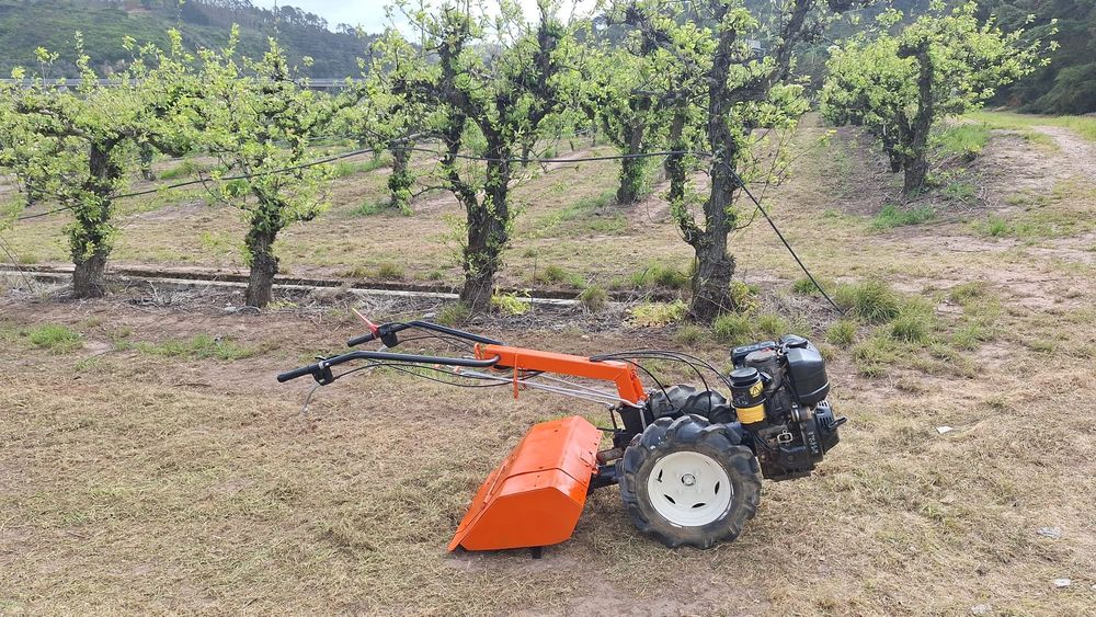 Motocultivador benassi