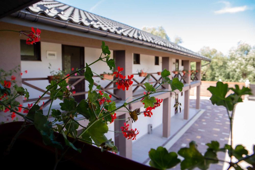 Оренда номерів в с.Велятино Садиба "Велятинський Затишок"