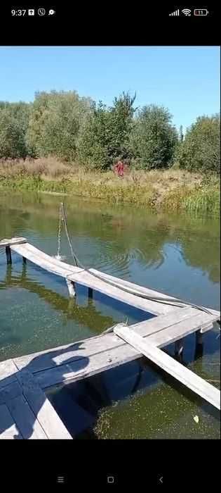 Зарибок мальок коропа