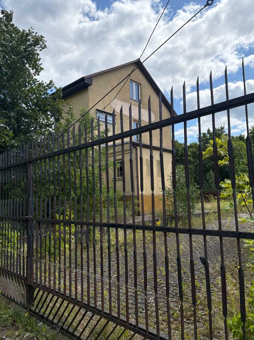 Zdjęcie 3