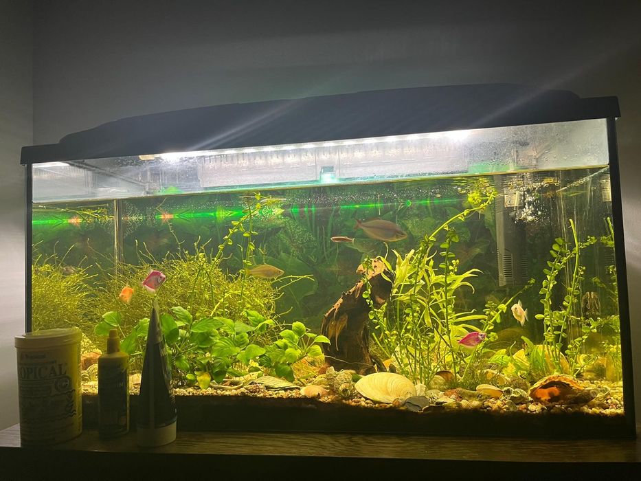 Sprzedam akwarium 112l