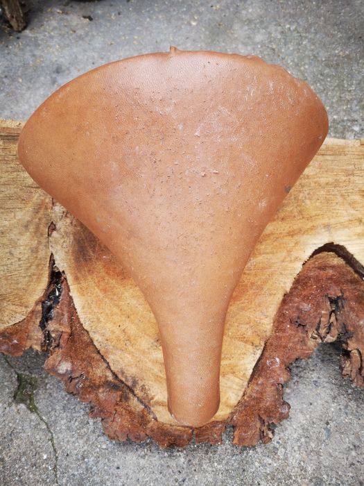 Selim Antigo Pasteleira