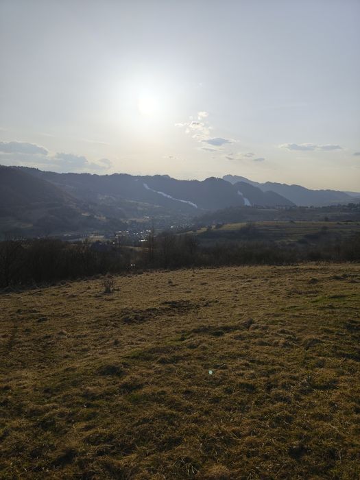 Ogrodnik usługi Ogródki/ogrody/porządki, wycinki,przecinki, koszenie t