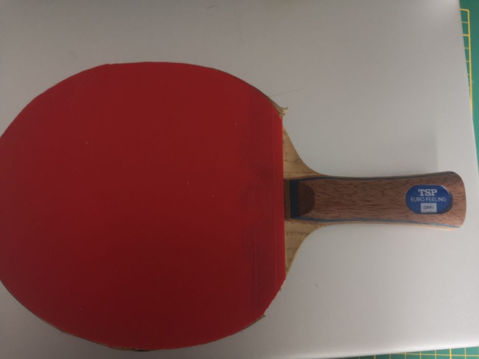 Zestaw dla miłośników tenisa stołowego
