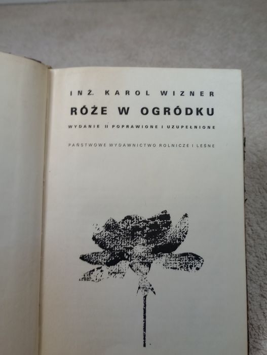Róże w ogródku. Karol Wizner