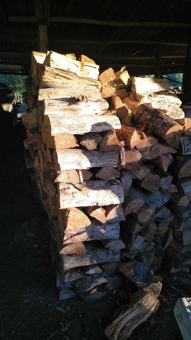 Lenha seca eucalipto salgueiro acácia carvalho pinho