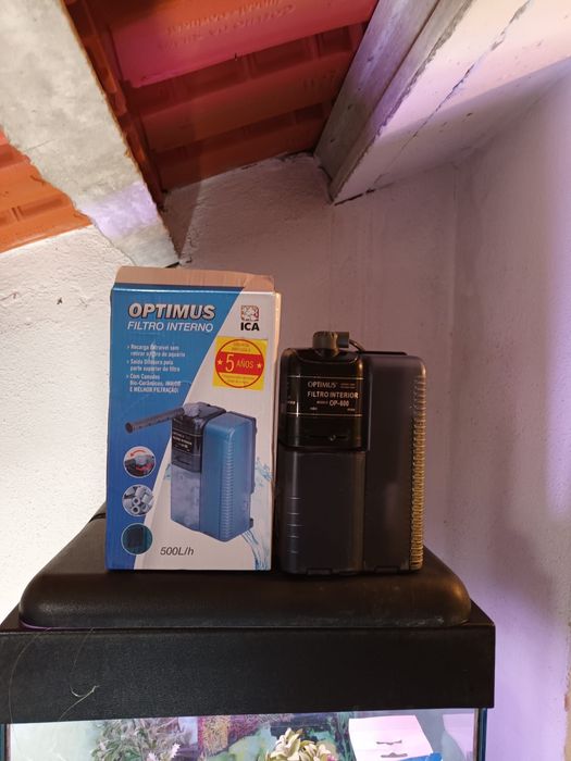 2 aquários com acessórios