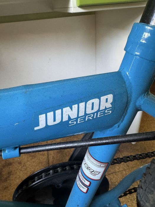 Bicicleta crianca