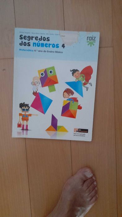 Manuais escolares do 4 ano