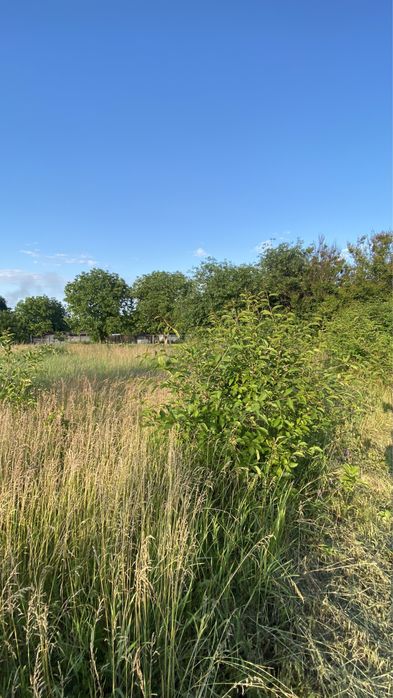 Мазанка + Ділянка 51сот. біля води, Обухів р-н. с. Красне Перше