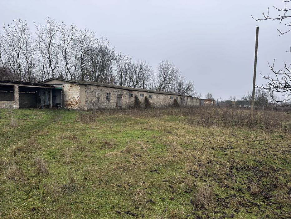 Приміщення , ангари , оренда , ферми,продаж , Село пятка