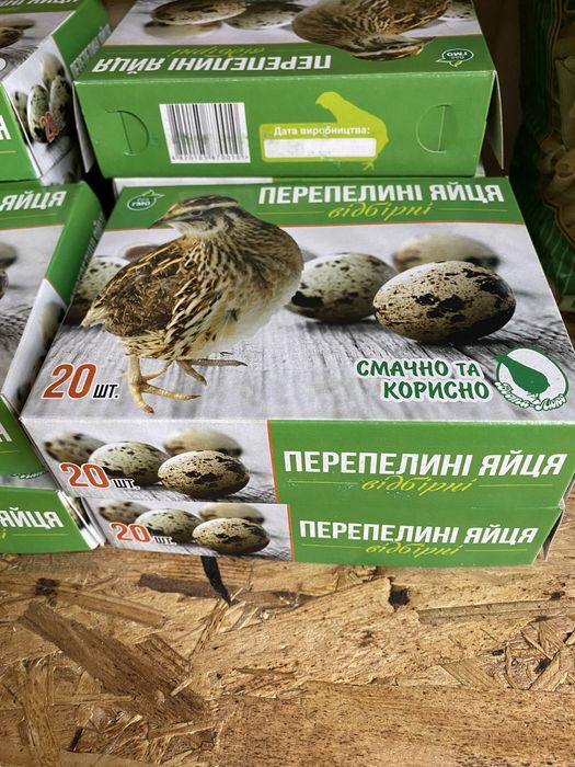 Домашнее перепелиное яйцо