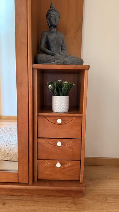 Roupeiro de Hall com Espelho e Sapateira | Madeira | Luz Automática