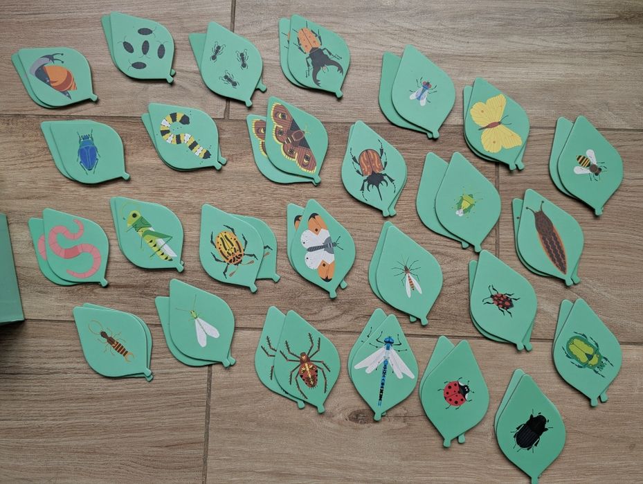 Gra pamięciowa Memory Owady